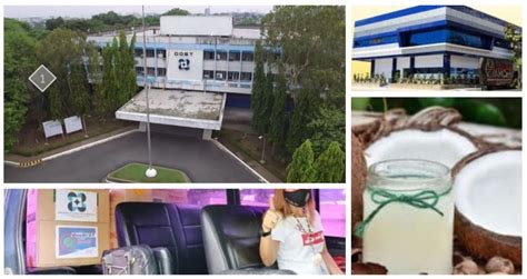 dost ongoing projects|DOST showcases 21 high impact programs, innovative S&T .